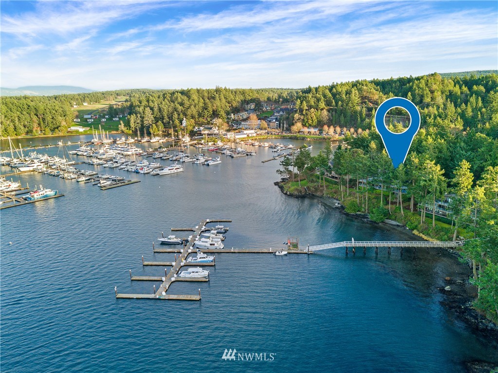 184 Armadale Road, Unit 5 Friday Harbor, WA 98250 - Photo 1 of 23 a view of a ocean with beach