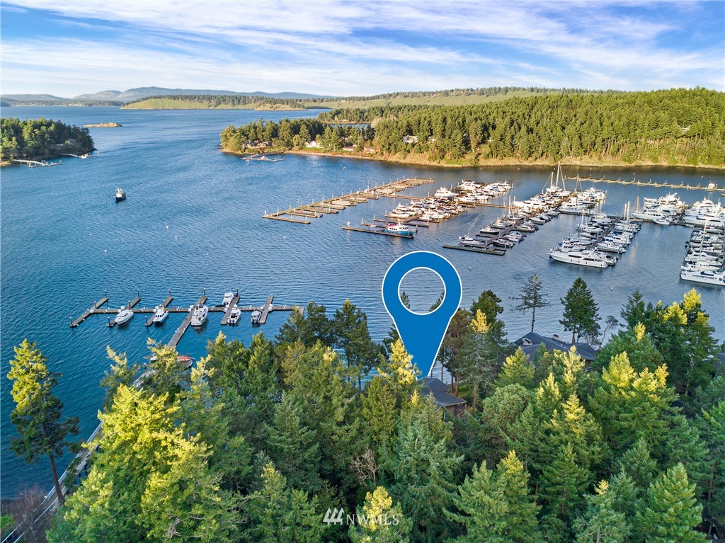 184 Armadale Road, Unit 5 Friday Harbor, WA 98250 - Photo 20 of 23 an aerial view of a house with a lake view