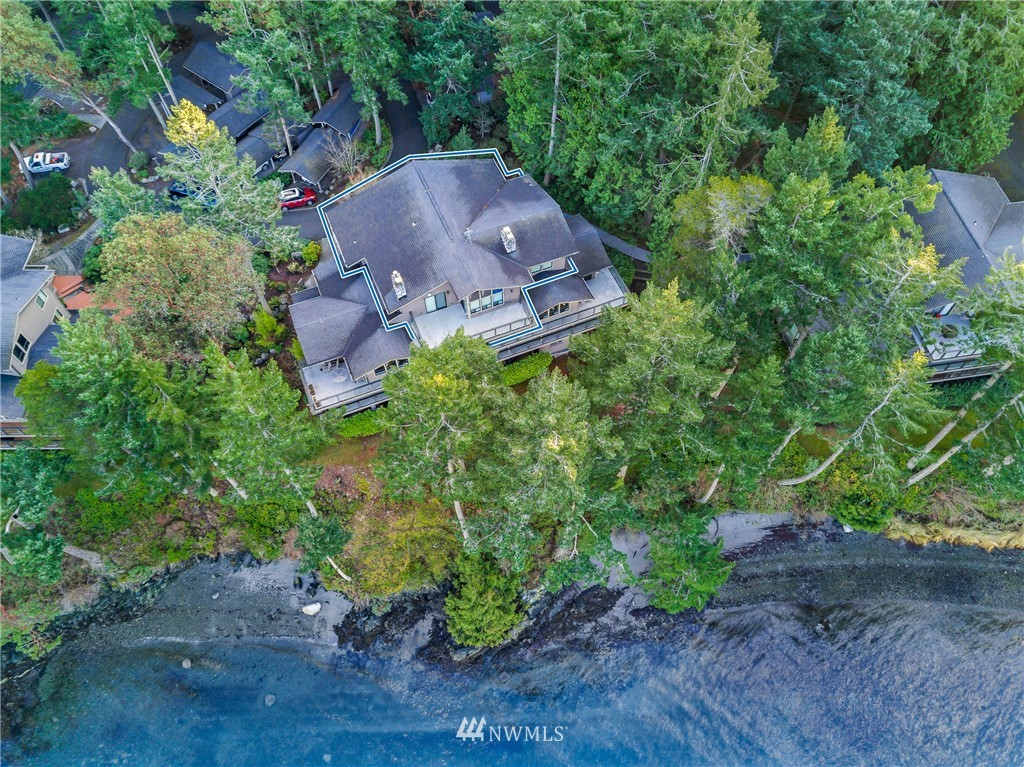 184 Armadale Road, Unit 5 Friday Harbor, WA 98250 - Photo 21 of 23 a view of a garden with plants and large trees