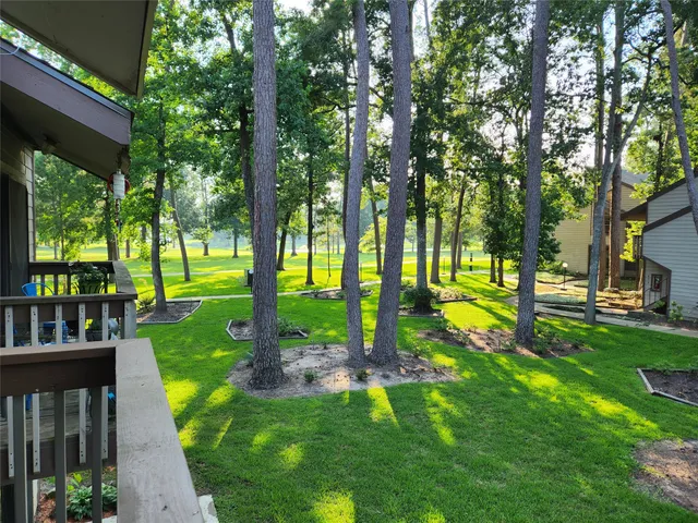 a view of a park with large trees