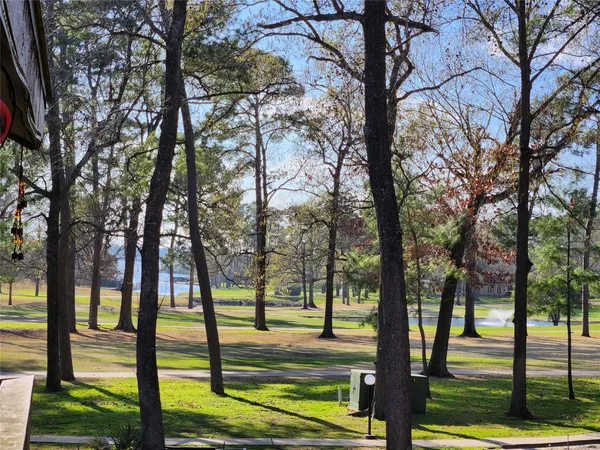 a view of a yard with large trees