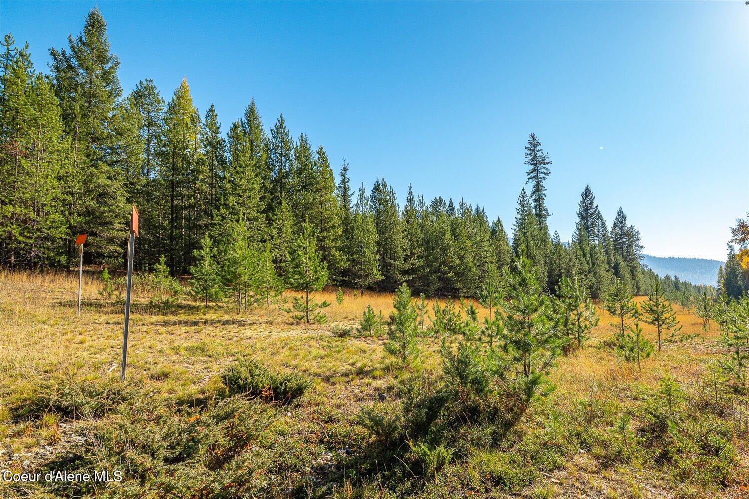 3 North Bonners Ferry Bonners Ferry, ID 83805 - Photo 15 of 54 07-NNA Moyie River Rd 006