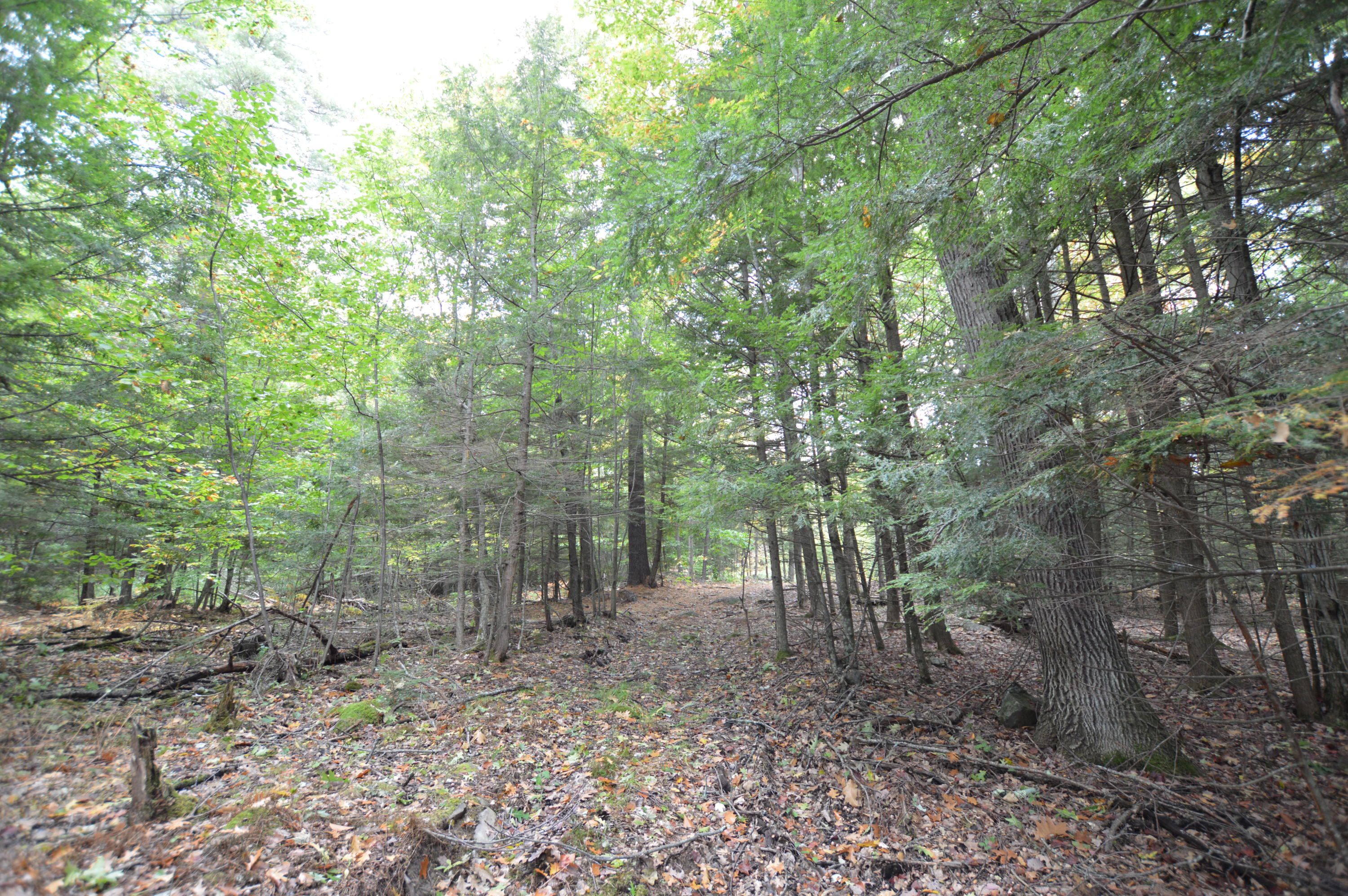 0 Soper Road Winthrop, ME 04364 - Photo 16 of 31 DSC_1418