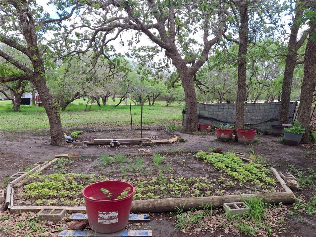 9213 Pvt 6005 Road Sinton, TX 78387 - Photo 20 of 24