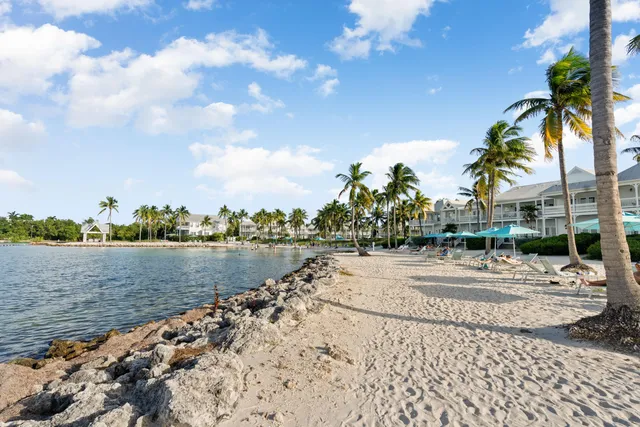 a row of palm trees sitting on a beach