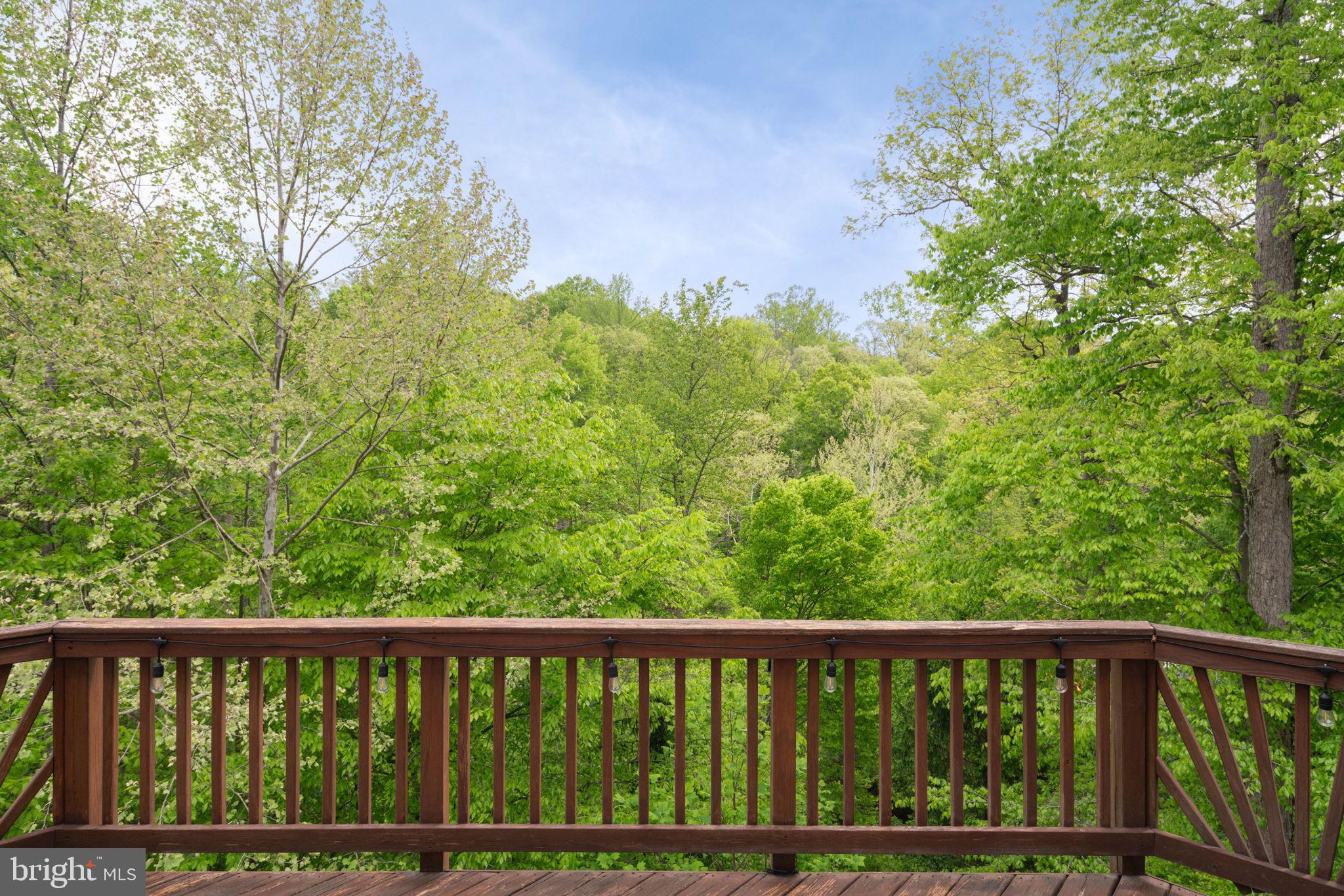 8000 Pohick Road Springfield, VA 22153 - Photo 38 of 53