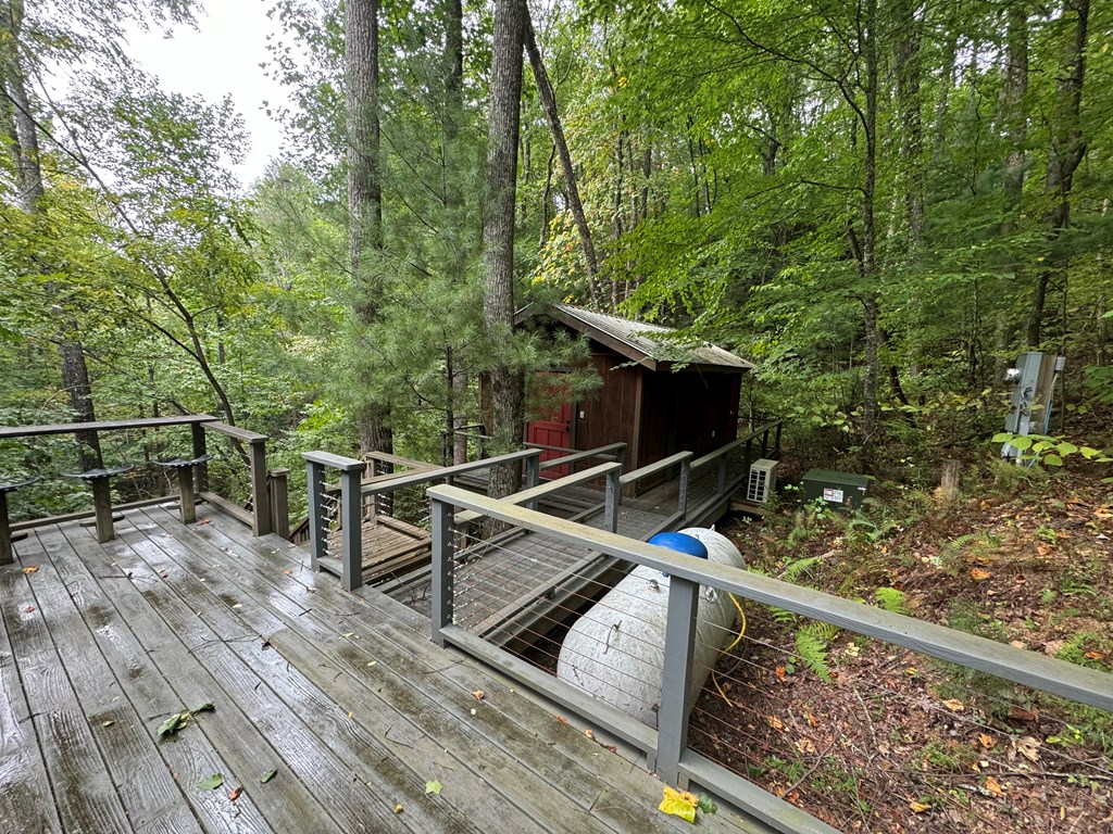 163 Chestnut Ridge Circle Blue Ridge, GA 30513 - Photo 33 of 34