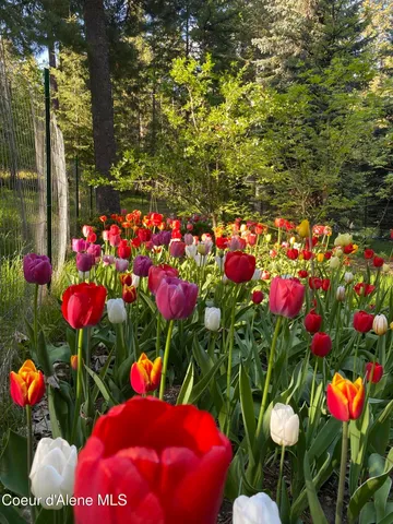 $879,000 | 133 Gold Hill Circle, Sagle, ID 83860