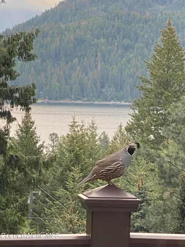 $879,000 | 133 Gold Hill Circle, Sagle, ID 83860