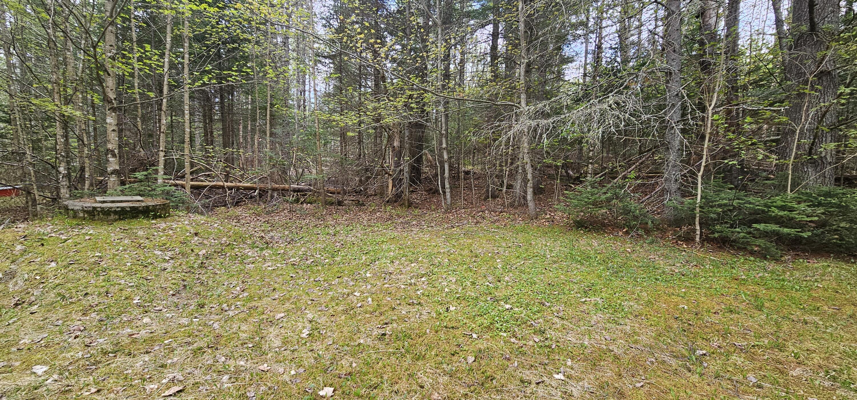 457 Porter Nadeau Road Eustis, ME 04936 - Photo 20 of 22 Backyard