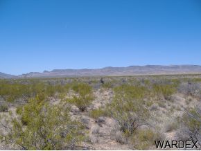 Lot 169 South Cattle Crossing Road Yucca, AZ 86438 - Photo 1 of 1 Primary Photo