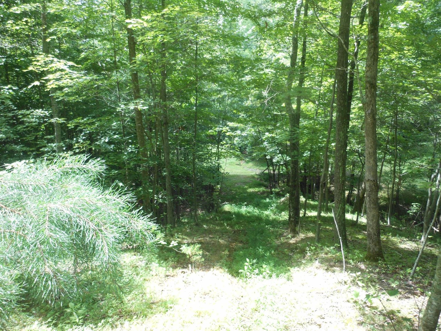 999 Elmer Henry Road Means, KY 40346 - Photo 8 of 39 Photo 8