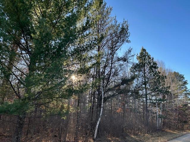 Tbd Northwest Tbd Nw 36th Street Akeley, MN 56433 - Photo 4 of 5