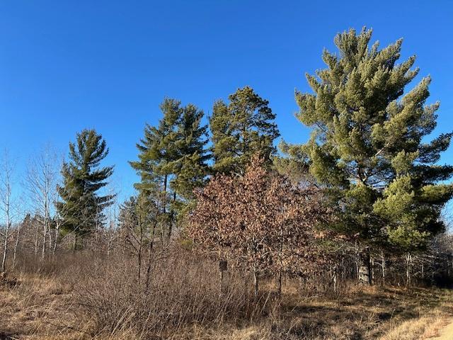 Tbd Northwest Tbd Nw 36th Street Akeley, MN 56433 - Photo 5 of 5