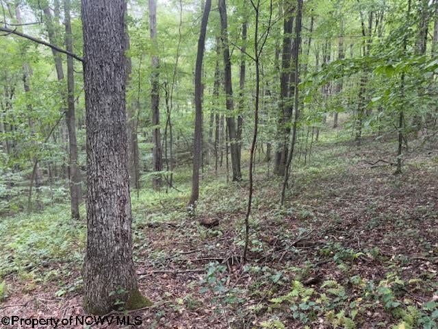 Tbd Simpson Road Belington, WV 26250 - Photo 10 of 30 Gallery Image 10