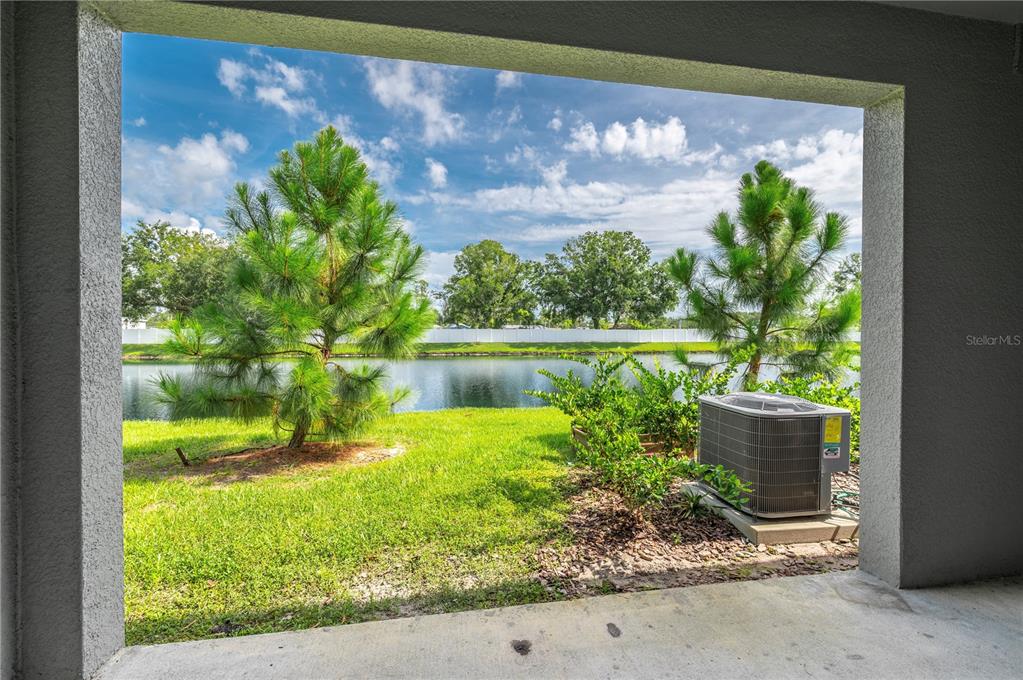21395 Darter Road Land O' Lakes, FL 34638 - Photo 20 of 22 a view of a back yard from a window