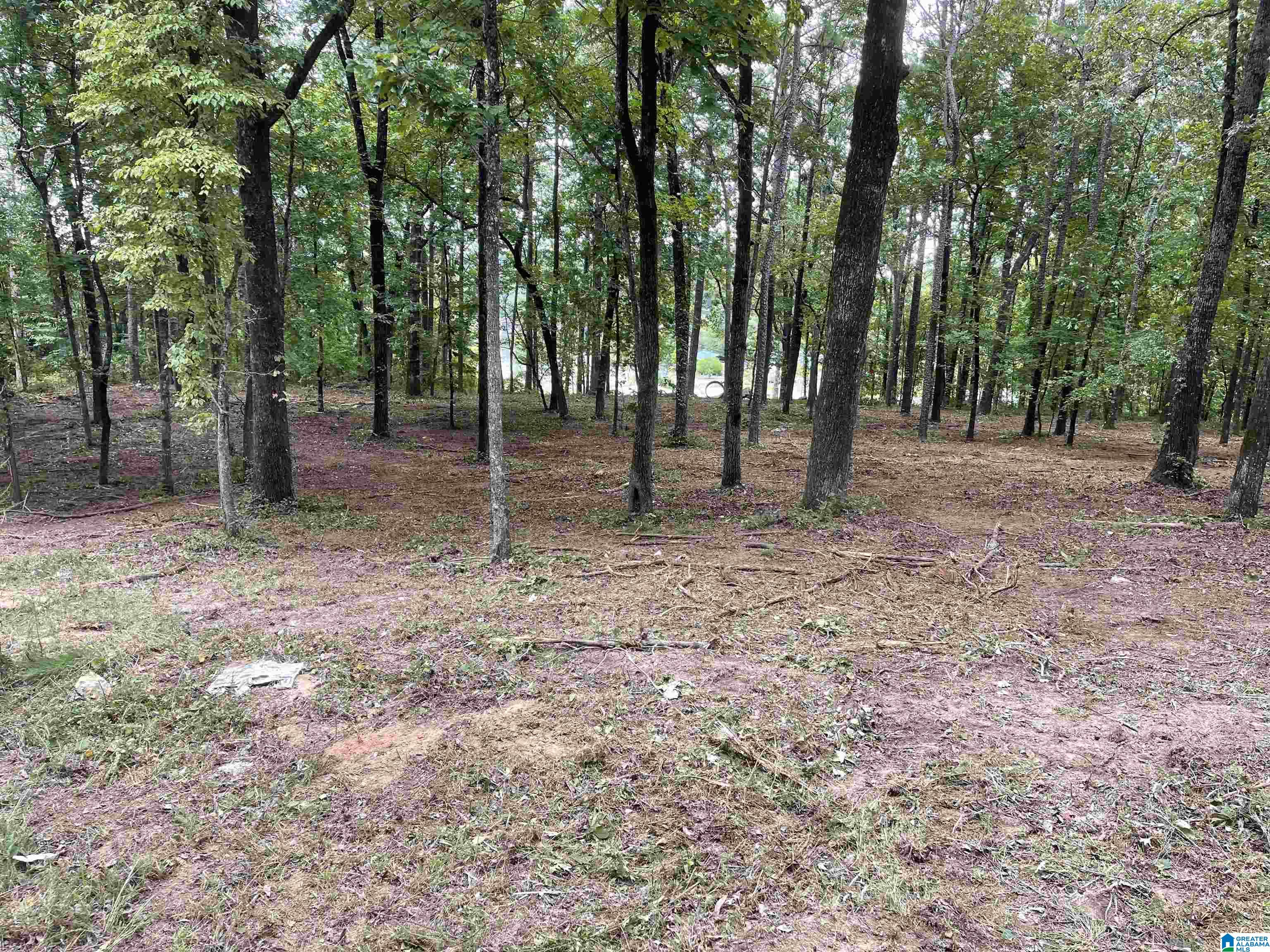 1 Centaurus Circle, Unit 2 Alpine, AL 35014 - Photo 11 of 15
