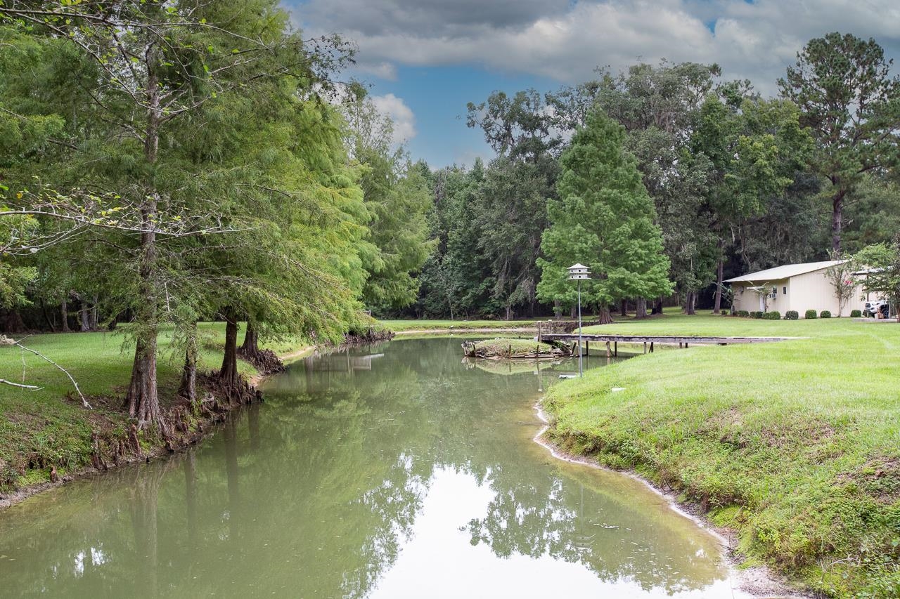 106 Big Rye Road Monticello, FL 32344 - Photo 7 of 42 Gallery Image 7