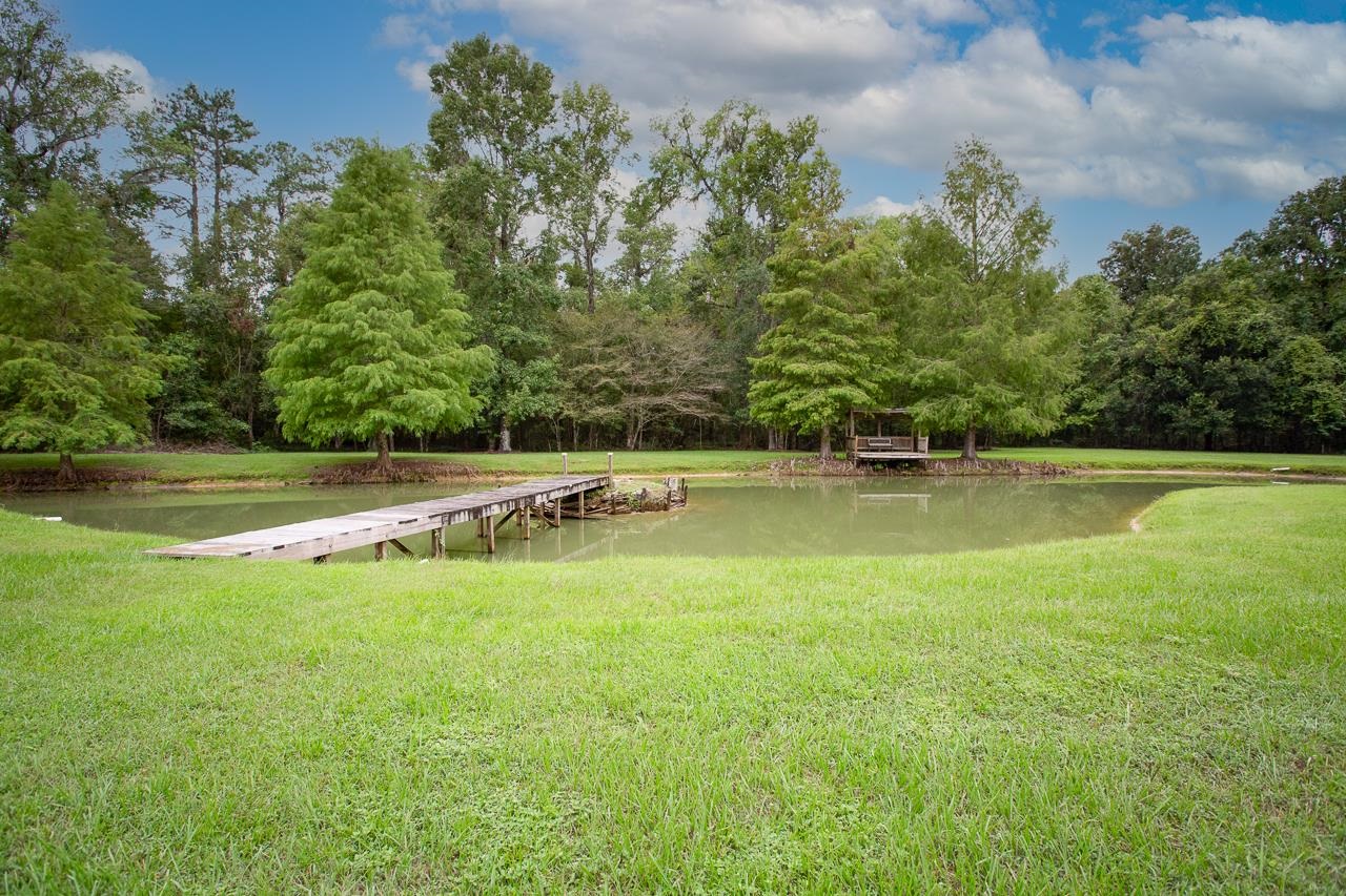 106 Big Rye Road Monticello, FL 32344 - Photo 8 of 42 Gallery Image 8