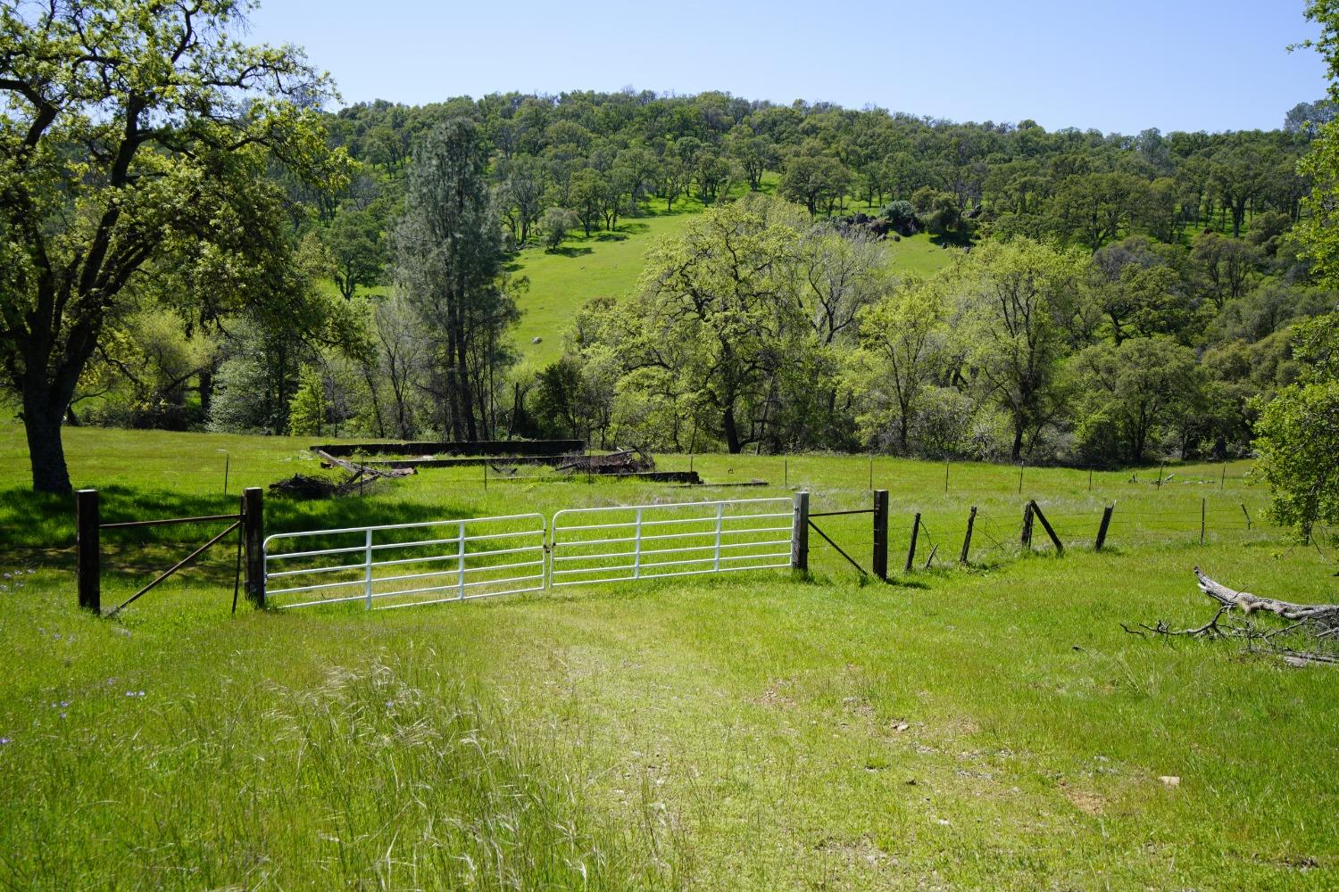 28138 McCourtney Road Grass Valley, CA 95949 - Photo 1 of 1 a view of a park with large trees