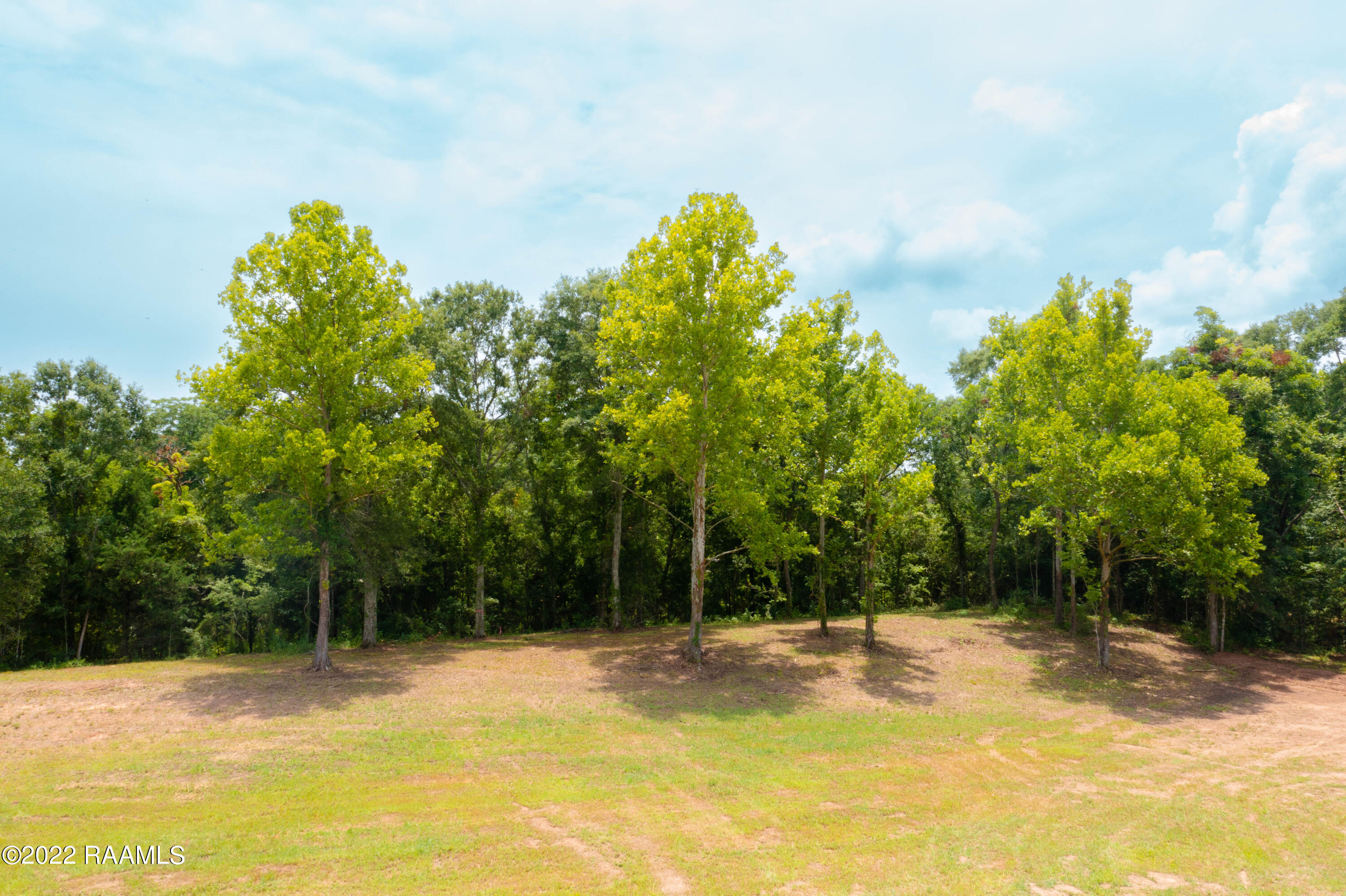Lot 30 Yankee Camp Road Opelousas, LA 70570 - Photo 16 of 41 TecheRidge-30