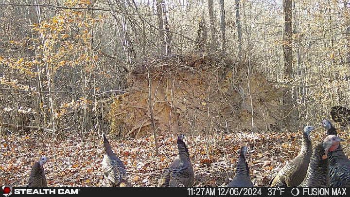 6065 Salt Lick Road Vanceburg, KY 41179 - Photo 46 of 46 image000009