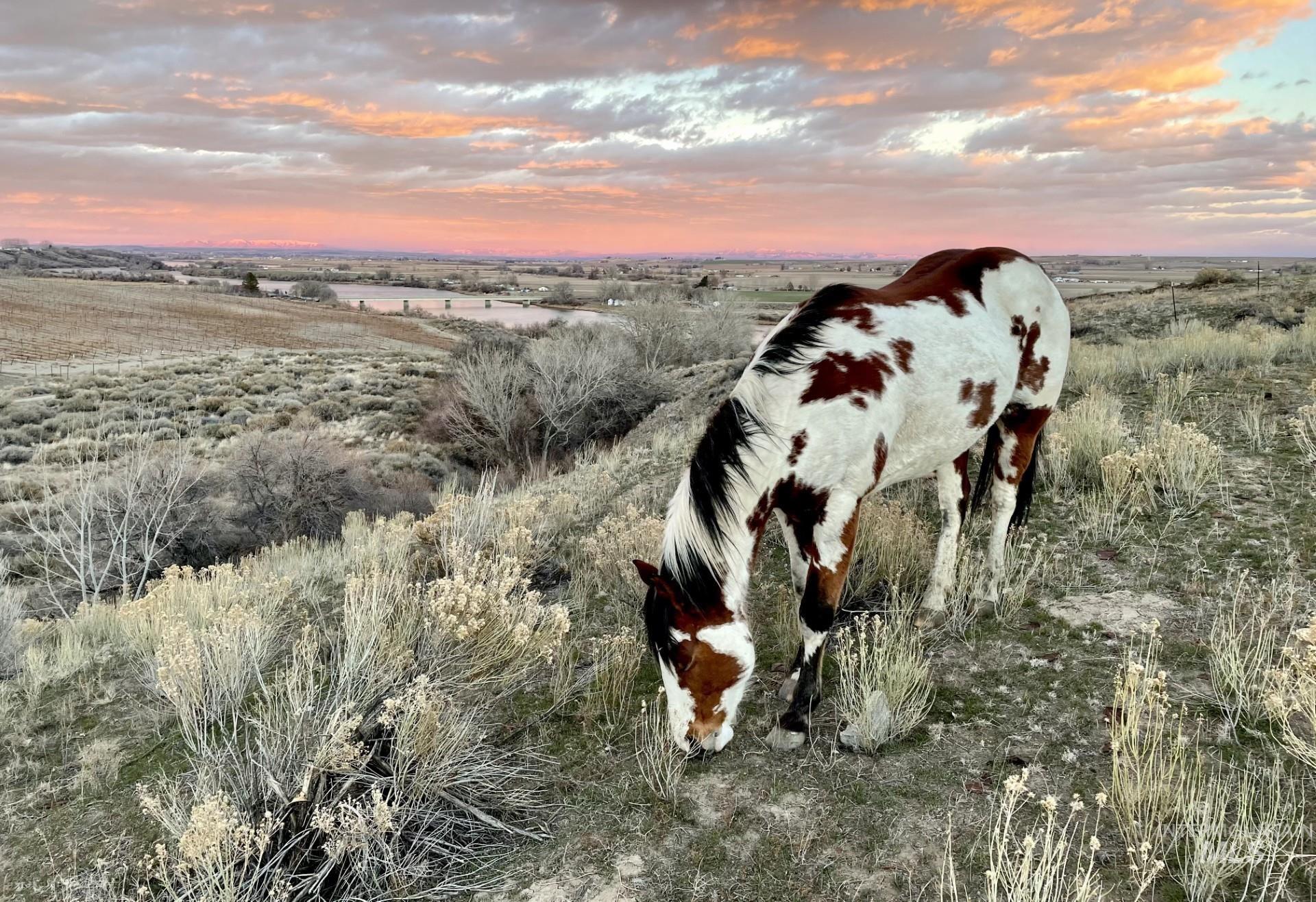 Tbd Snively Gulch Road Adrian, OR 97901 - Photo 11 of 31