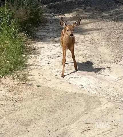 $250,000 | Tbd Snively Gulch Road, Adrian, OR 97901