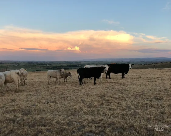 $250,000 | Tbd Snively Gulch Road, Adrian, OR 97901