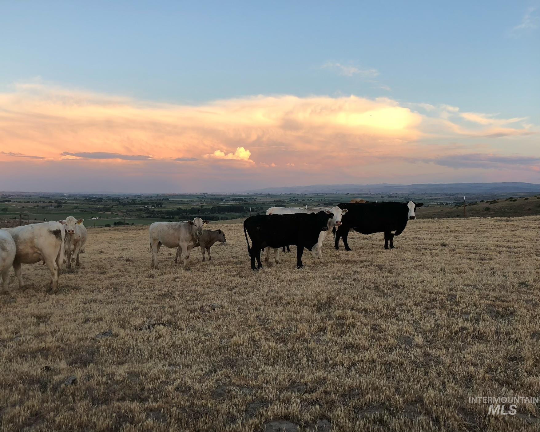 Tbd Snively Gulch Road Adrian, OR 97901 - Photo 26 of 31