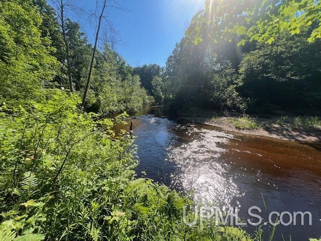 11.6 Acres Off Remington Road Marquette, MI 49855 - Photo 31 of 39