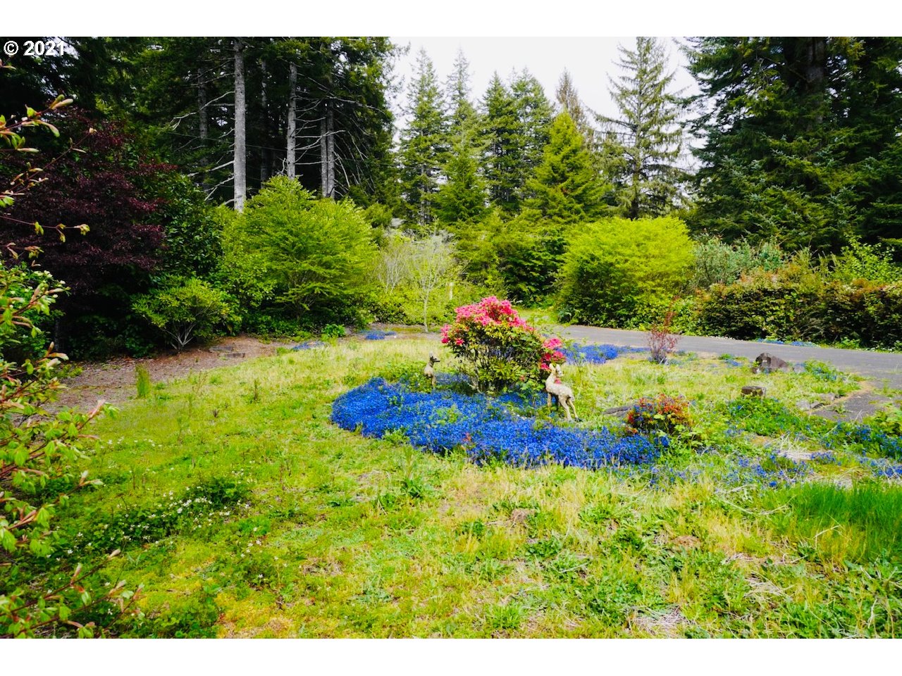 5064 Mitchell Loop Road Florence, OR 97439 - Photo 3 of 15 Gallery Image 3