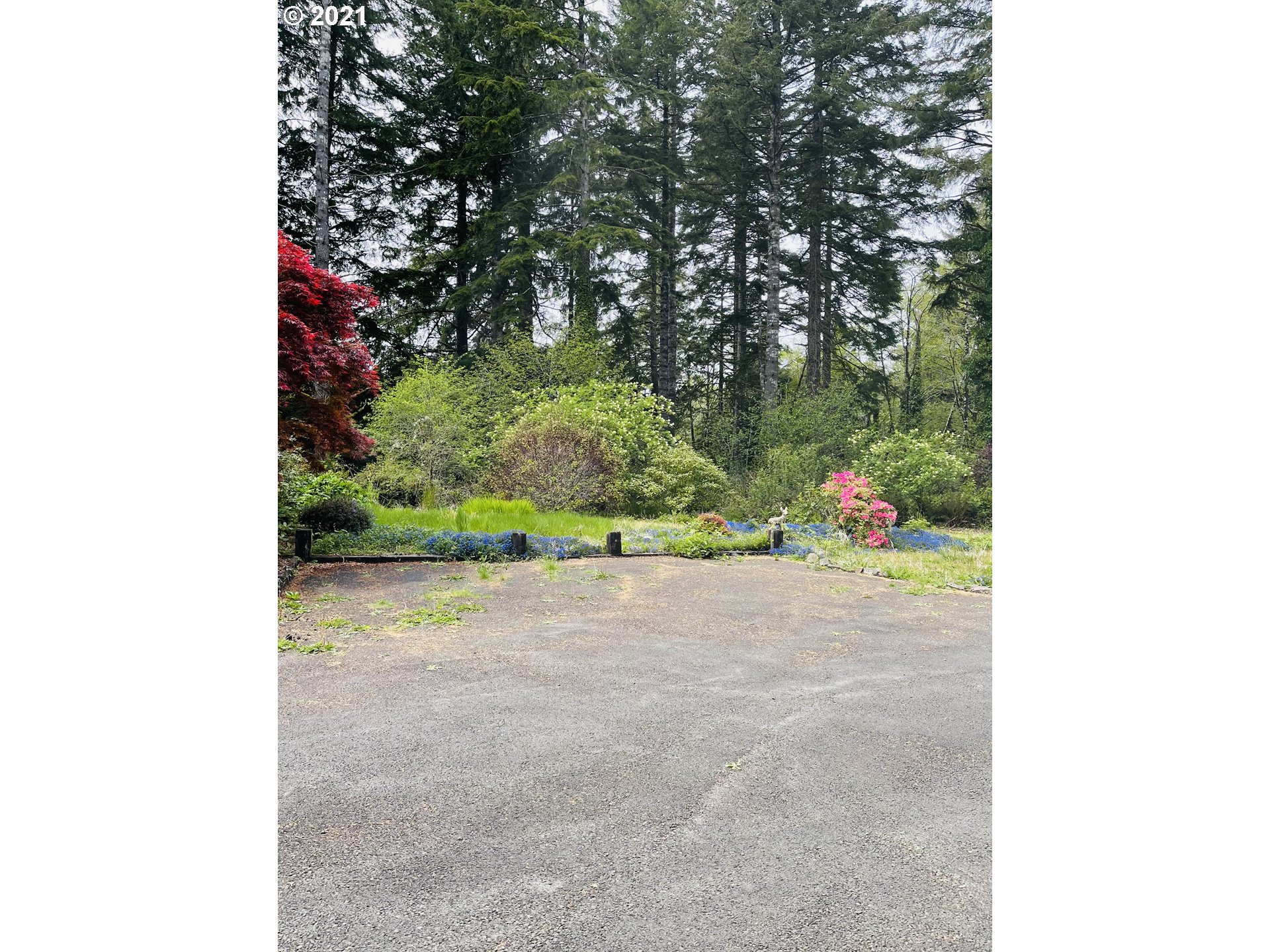 5064 Mitchell Loop Road Florence, OR 97439 - Photo 4 of 15 Gallery Image 4