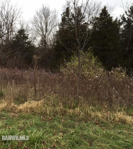 31 High Ridge Run Galena, IL 61036 - Photo 4 of 6 Gallery Image 4