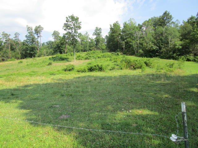 Smokey Road Rutledge, TN 37861 - Photo 1 of 3 IMG_1239