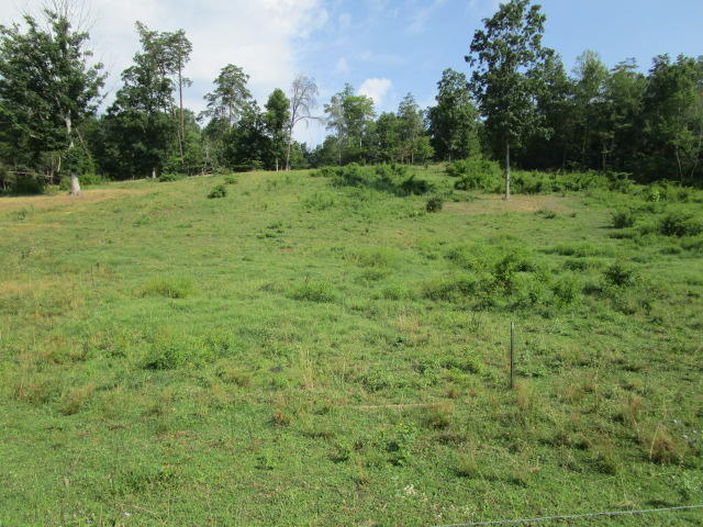 Smokey Road Rutledge, TN 37861 - Photo 2 of 3 IMG_1240