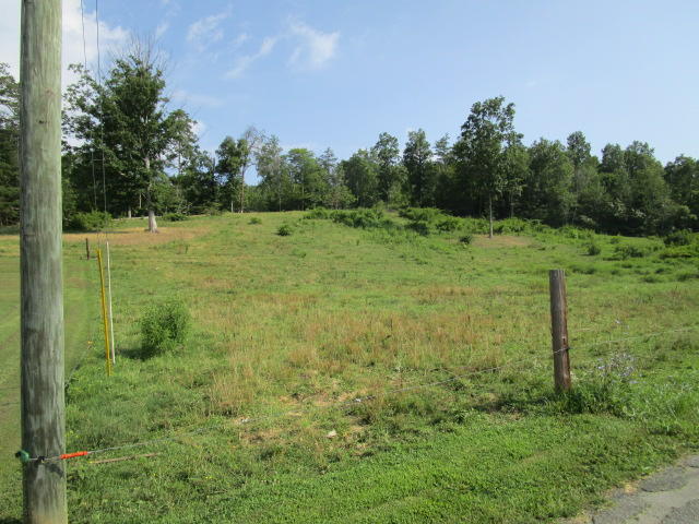 Smokey Road Rutledge, TN 37861 - Photo 3 of 3 IMG_1241