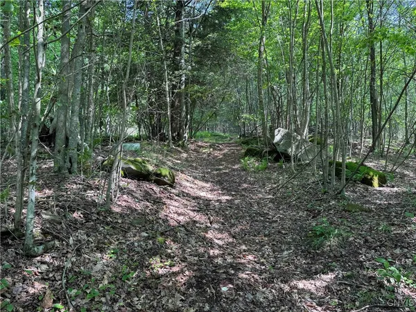 $50,000 | Creek Road, Olean, NY 14760