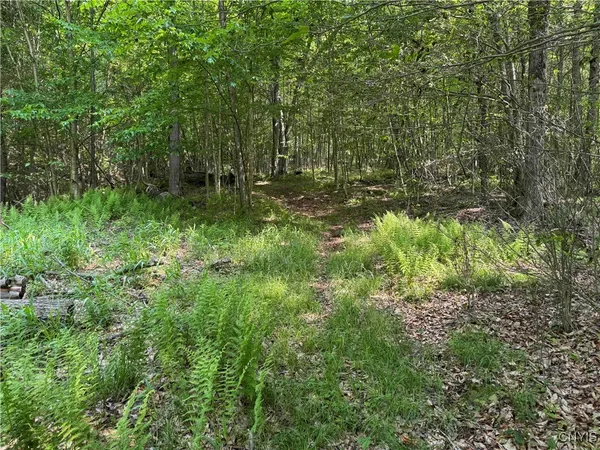 $50,000 | Creek Road, Olean, NY 14760