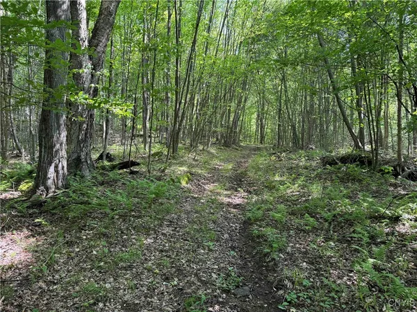 $50,000 | Creek Road, Olean, NY 14760