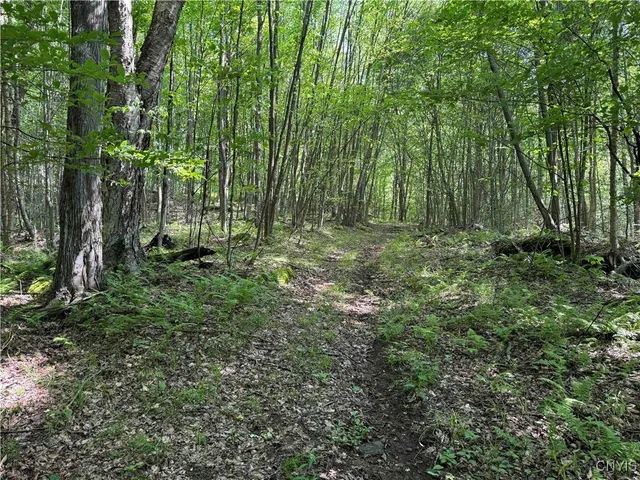 $64,900 | Creek Road, Olean, NY 14760