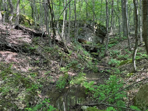 $50,000 | Creek Road, Olean, NY 14760