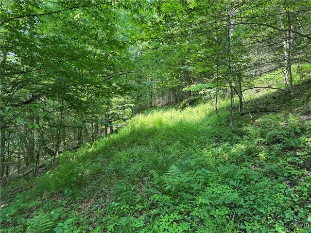 $64,900 | Creek Road, Olean, NY 14760