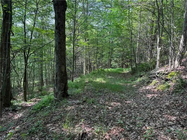 $50,000 | Creek Road, Olean, NY 14760