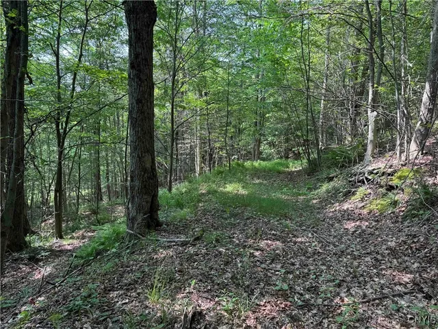 $64,900 | Creek Road, Olean, NY 14760