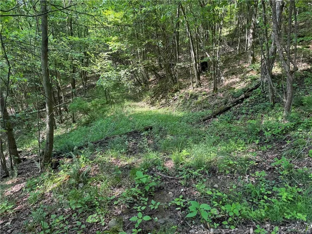 $64,900 | Creek Road, Olean, NY 14760