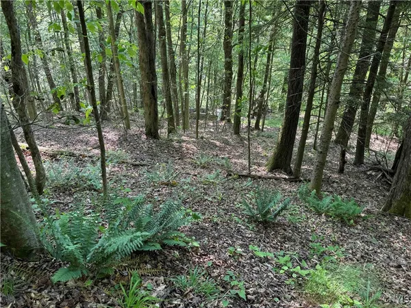 $50,000 | Creek Road, Olean, NY 14760