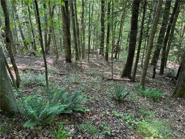 $64,900 | Creek Road, Olean, NY 14760