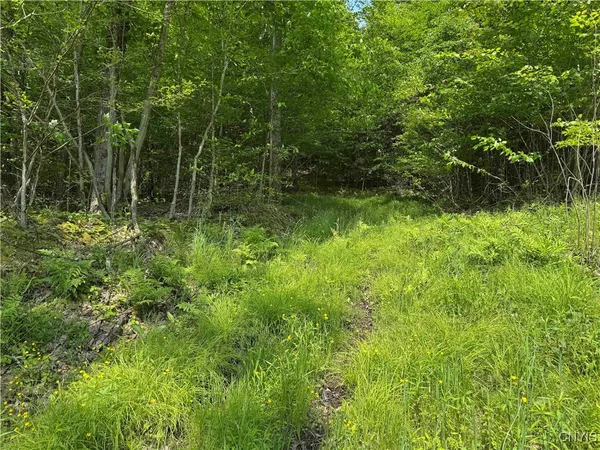 $50,000 | Creek Road, Olean, NY 14760