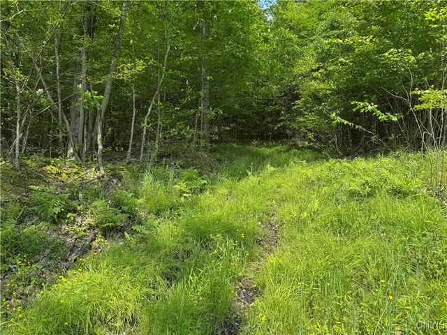 $64,900 | Creek Road, Olean, NY 14760